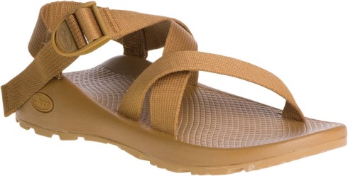 Chacos Marrón Hueso Para Hombre Con Bandas Z/cloud