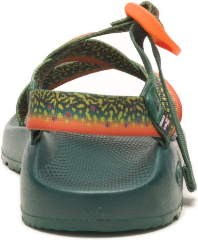 Brook Trout Chacos Hombre X Thomas Rhett Z/1 Clásico