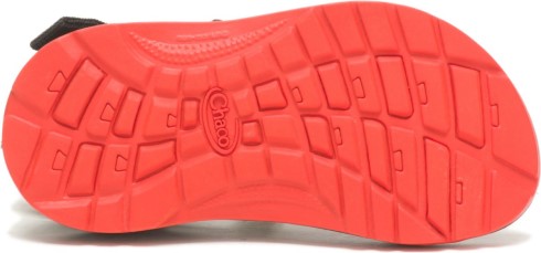 Chacos Crust Multi Niño Pequeño Zx/1 Ecotread