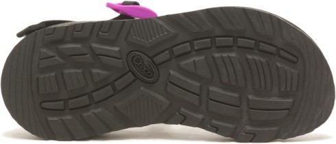Chacos Mujer Z/cloud Dragon Fruit Fucsia