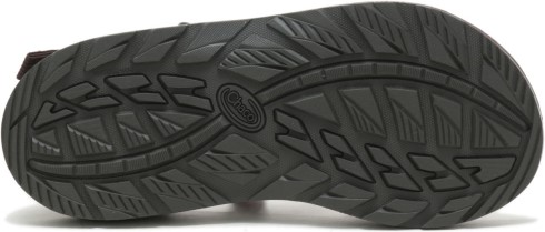 Esencia Java Hombres Z/1 Clásico Chacos