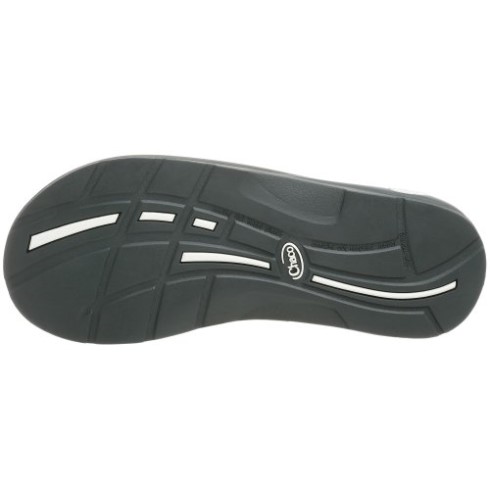 Odisea Hombre Chacos Gris