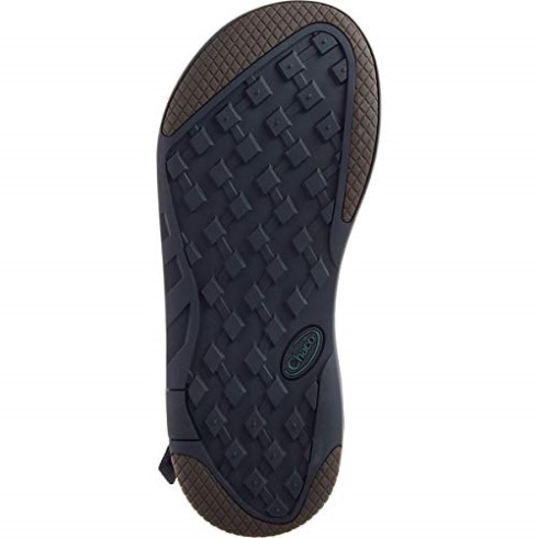 Hombre Zcanyon 2 Chacos Herald Mallard