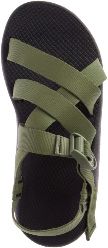 Musgo Liquen Hombre Z/1 Chacos Clasicos