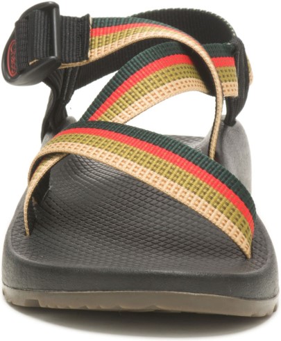 Tetra Moss Chacos Hombre Z/cloud Ancho Ancho