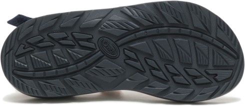 Wild Ride ámbar Chacos Hombre Z/cloud